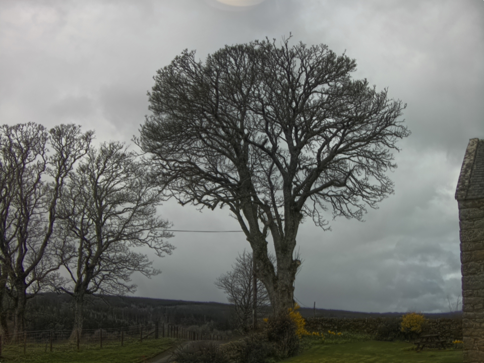 Webcam photo for 11 hrs today