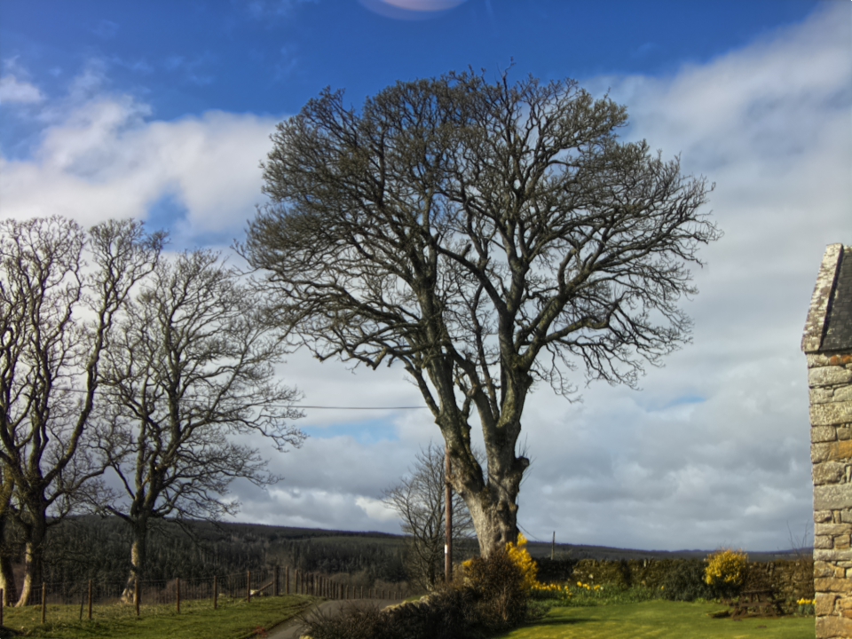 Webcam photo for 12 hrs today