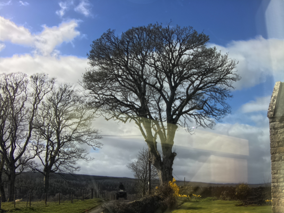 Webcam photo for 14 hrs today