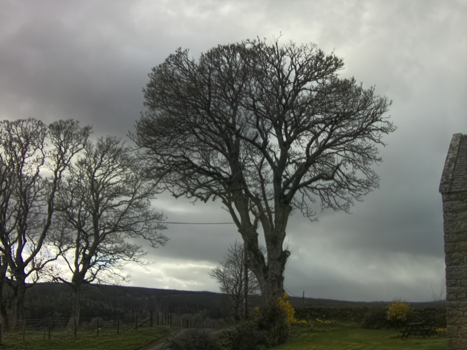 Webcam photo for 16 hrs today