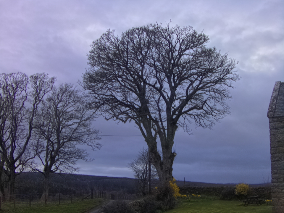 Webcam photo for 20 hrs today