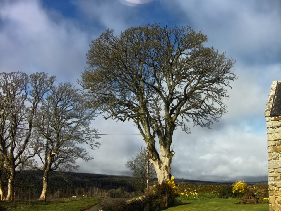 Webcam photo for 10 hrs today