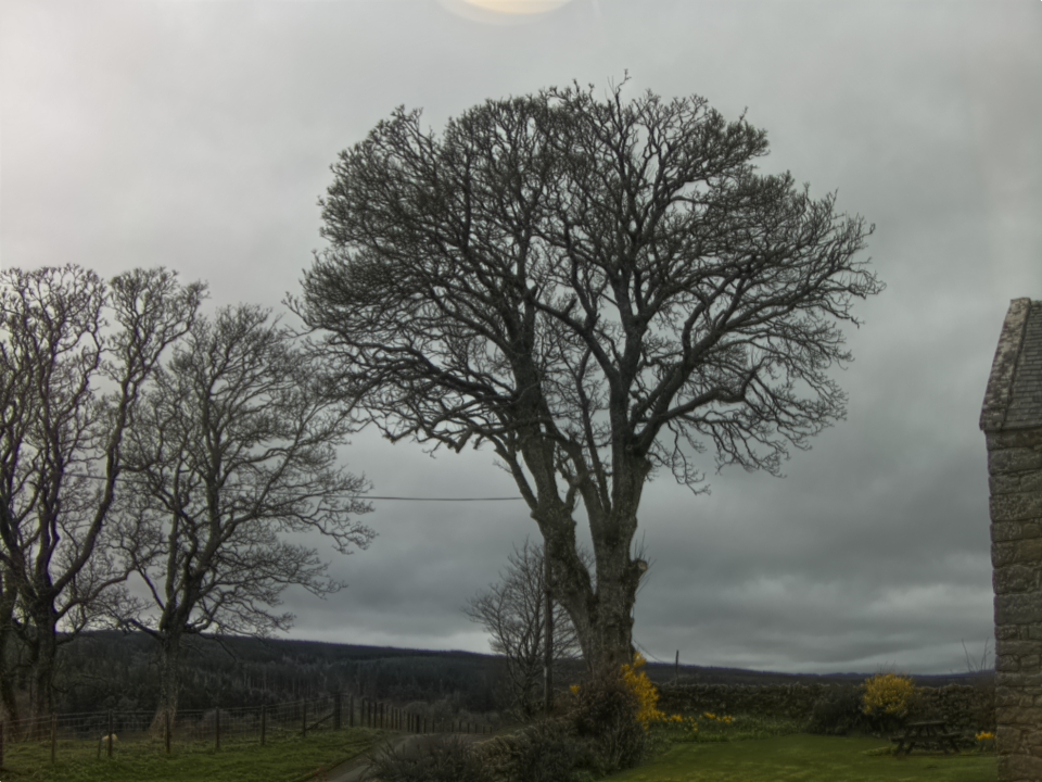 Webcam photo for 12 hrs today