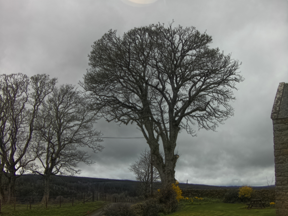 Webcam photo for 13 hrs today