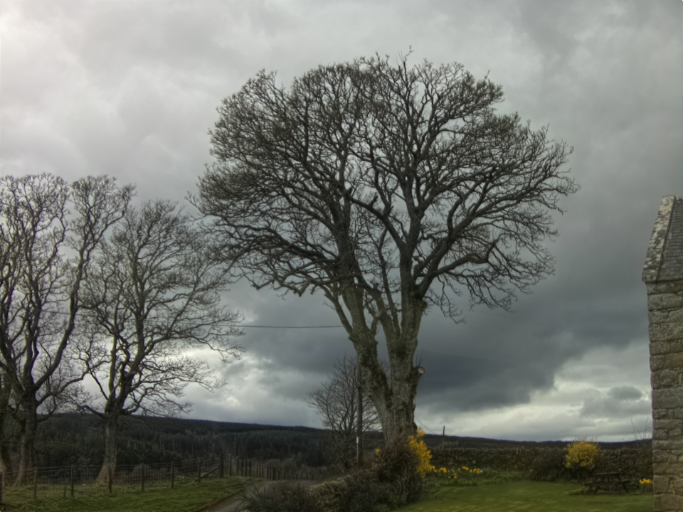 Webcam photo for 15 hrs today