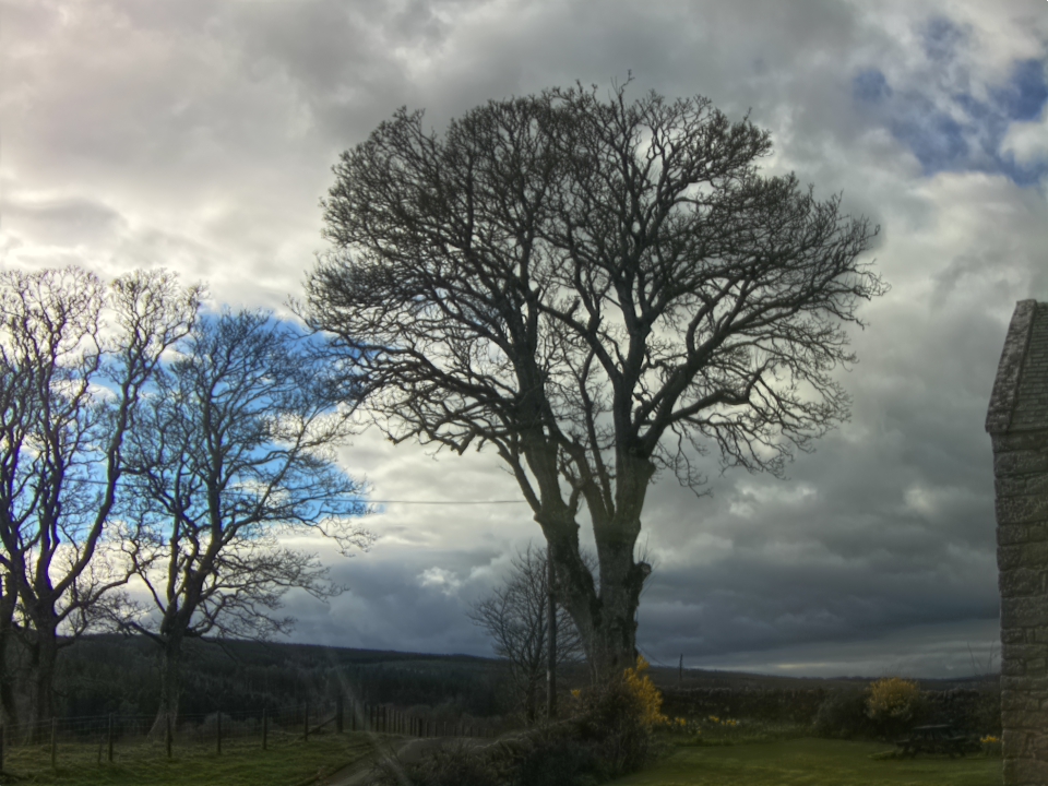 Webcam photo for 16 hrs today