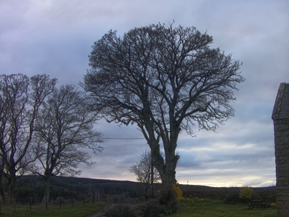 Webcam photo for 19 hrs today