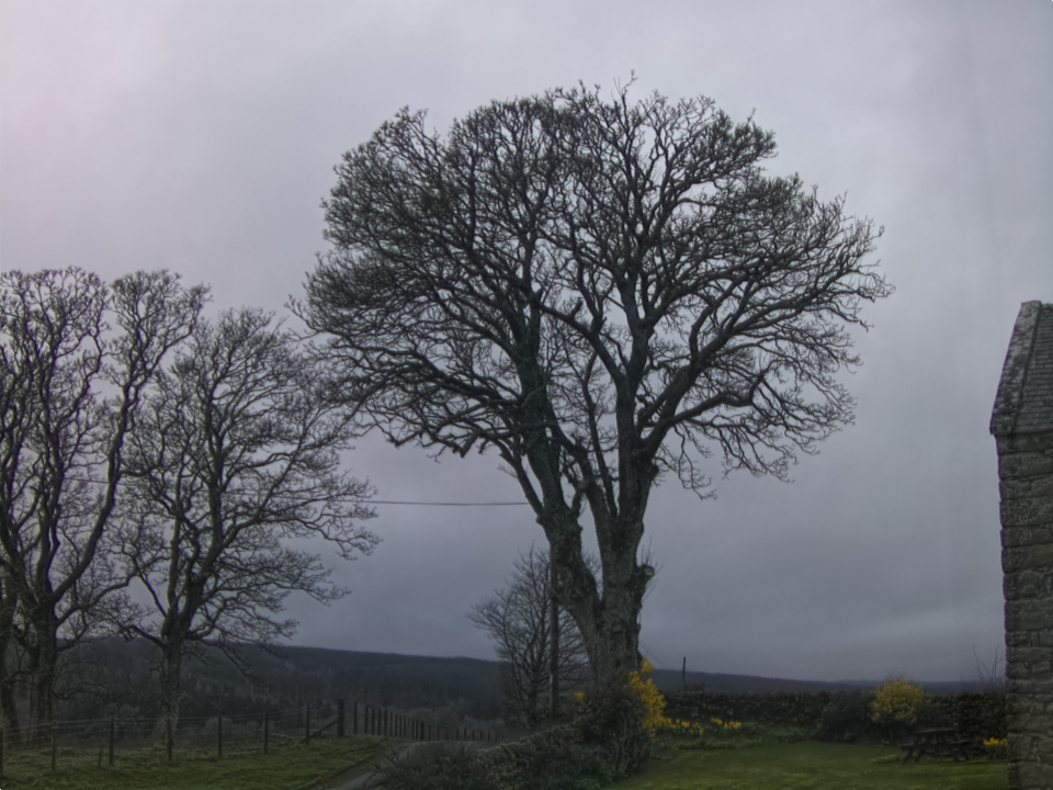 Webcam photo for 07 hrs today