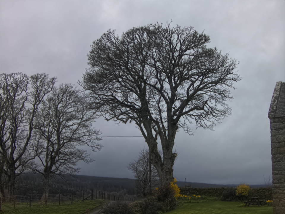 Webcam photo for 08 hrs today