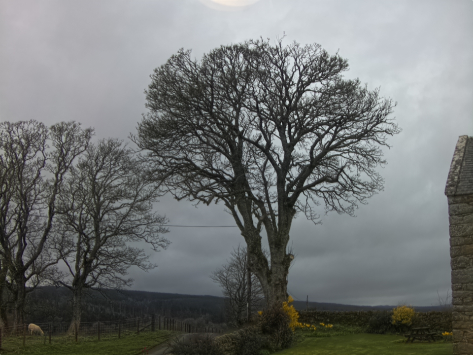 Webcam photo for 09 hrs today