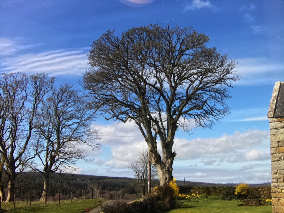 Webcam photo for 12 hrs today