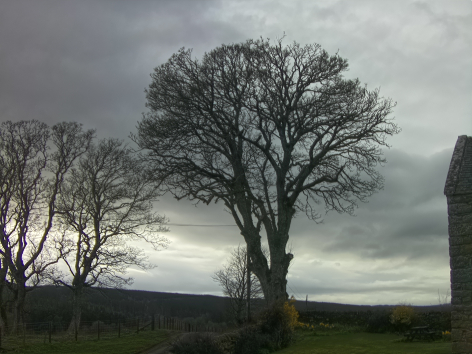 Webcam photo for 16 hrs today