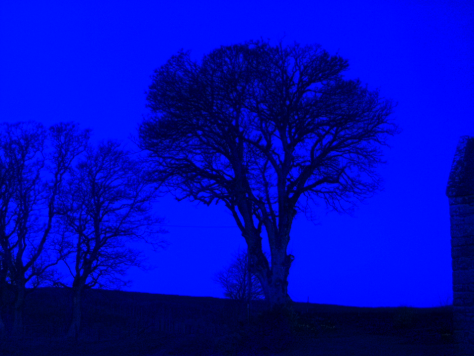 Webcam photo for 06 hrs today