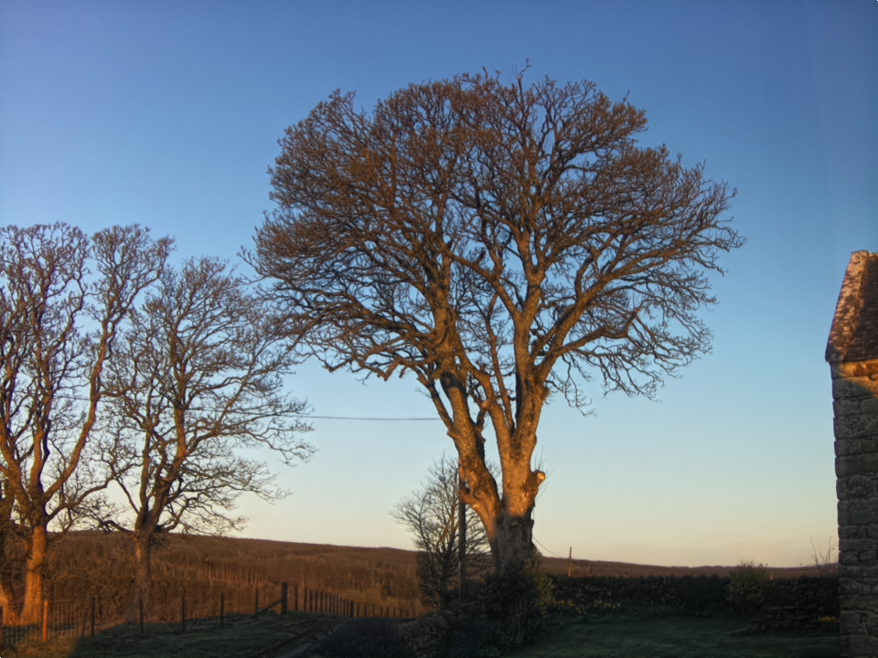 Webcam photo for 07 hrs today