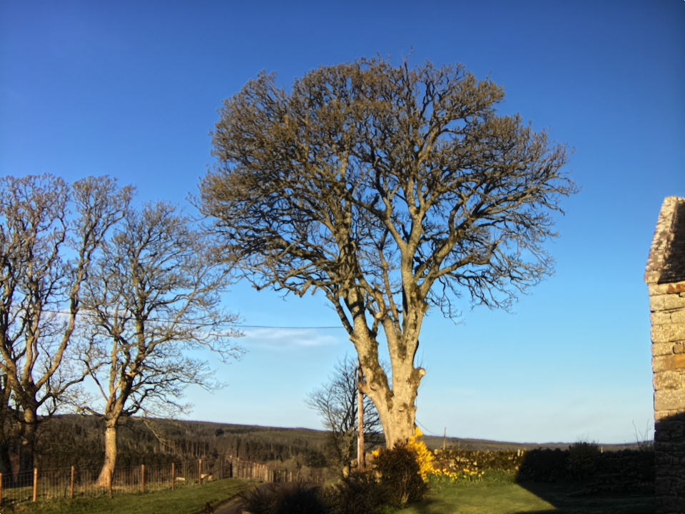 Webcam photo for 08 hrs today