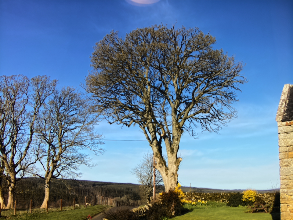 Webcam photo for 09 hrs today