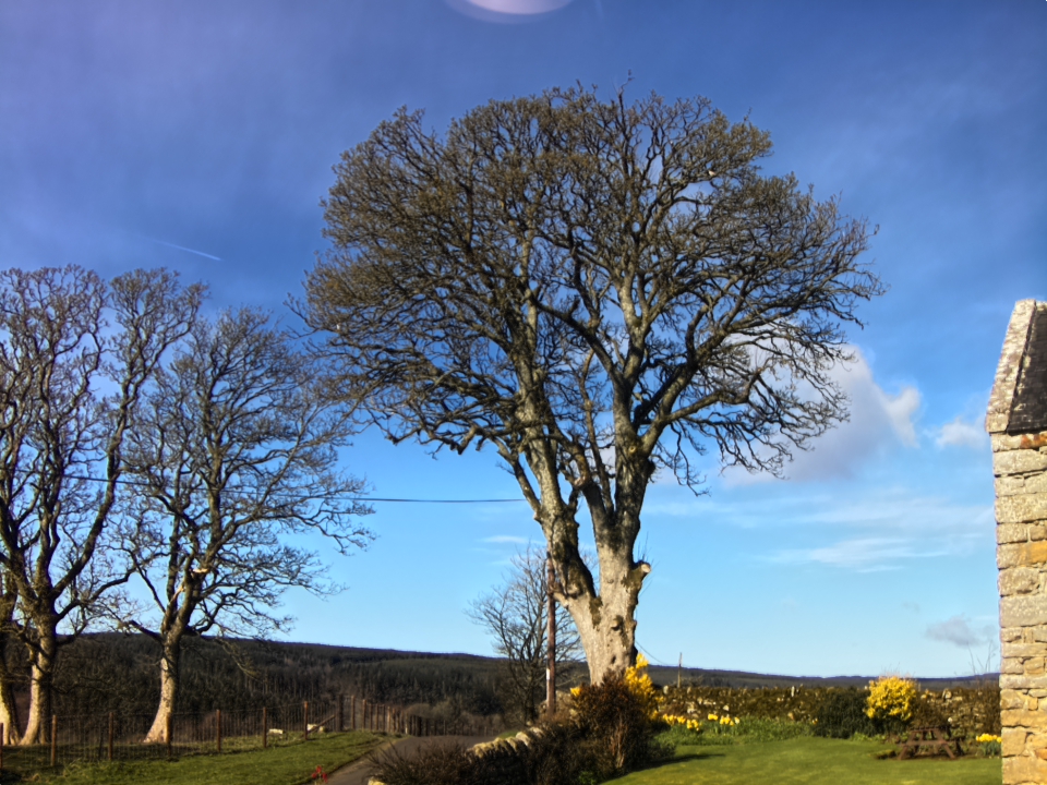 Webcam photo for 10 hrs today