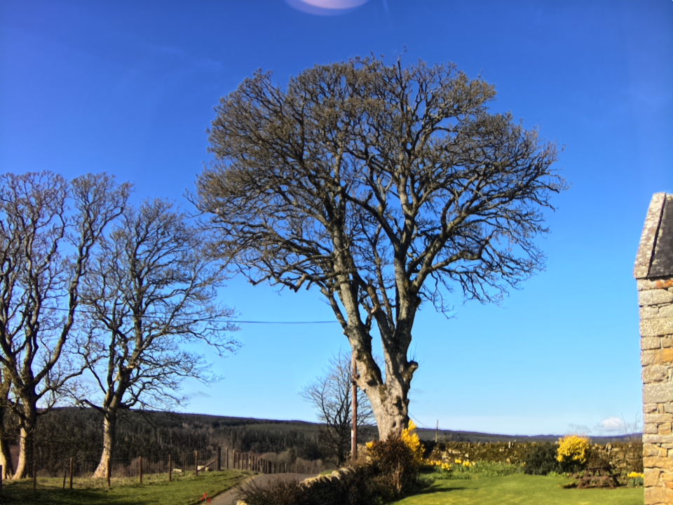 Webcam photo for 11 hrs today