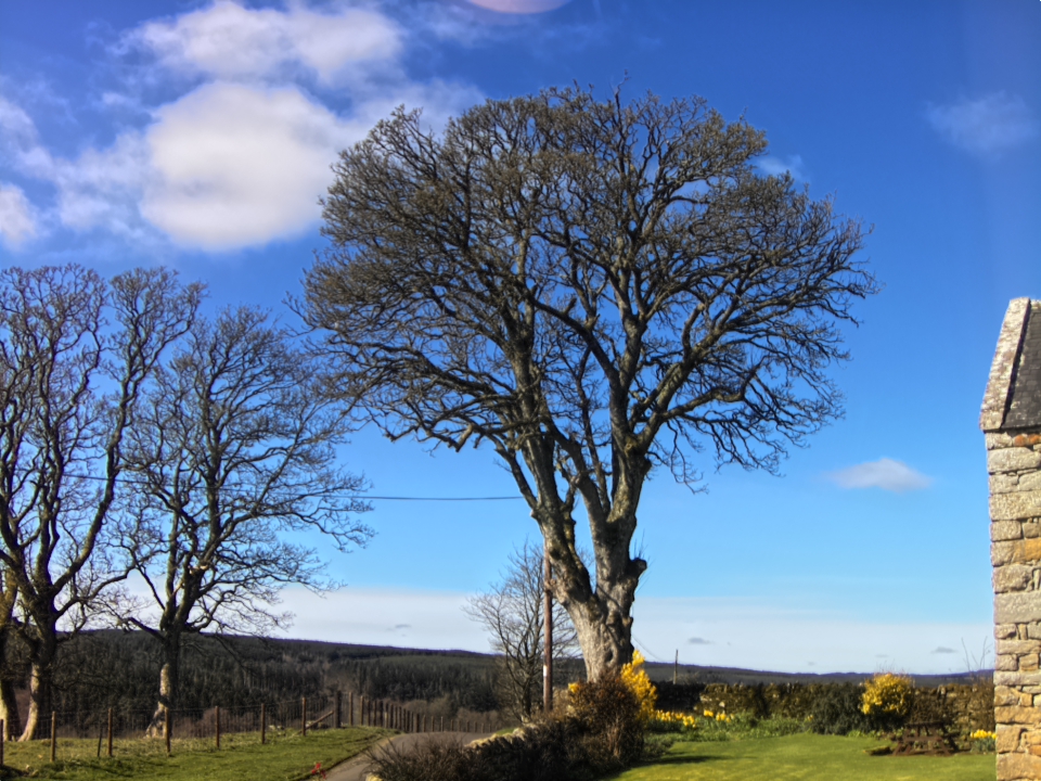 Webcam photo for 12 hrs today