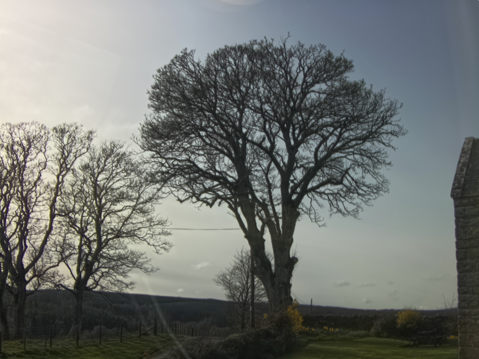 Webcam photo for 16 hrs today