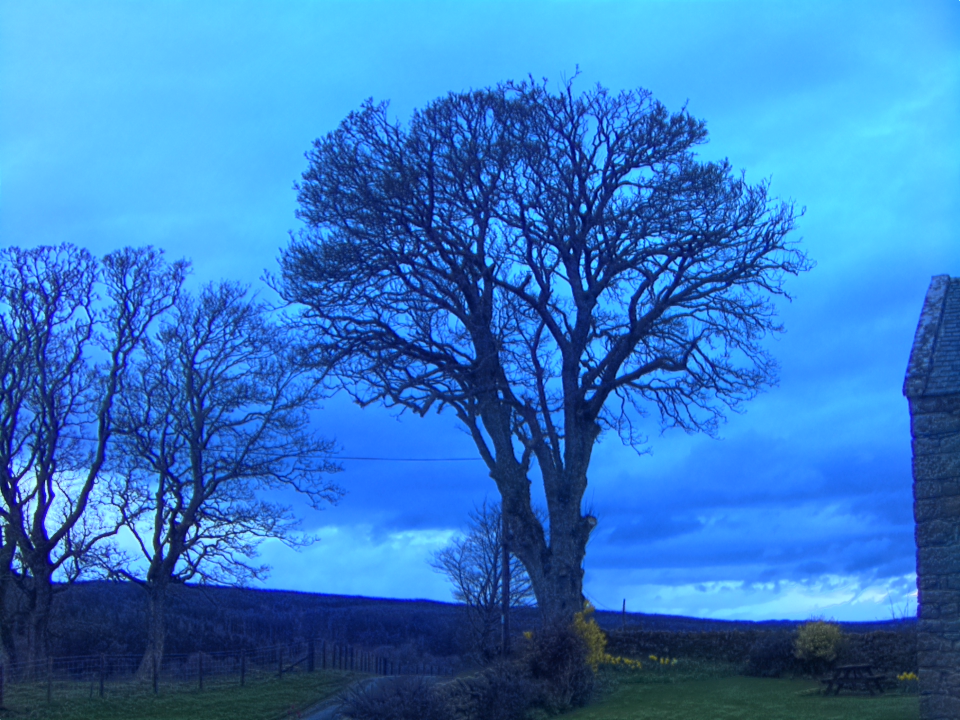 Webcam photo for 20 hrs today