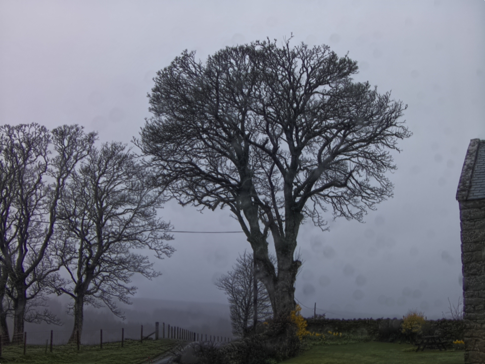 Webcam photo for 08 hrs today