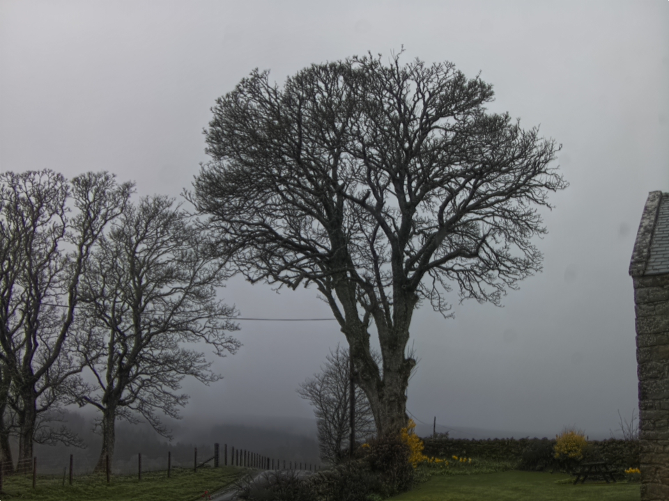 Webcam photo for 09 hrs today