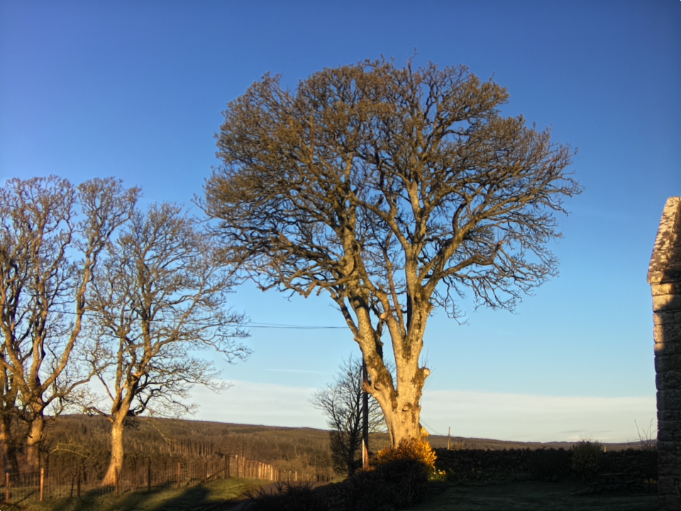 Webcam photo for 07 hrs today