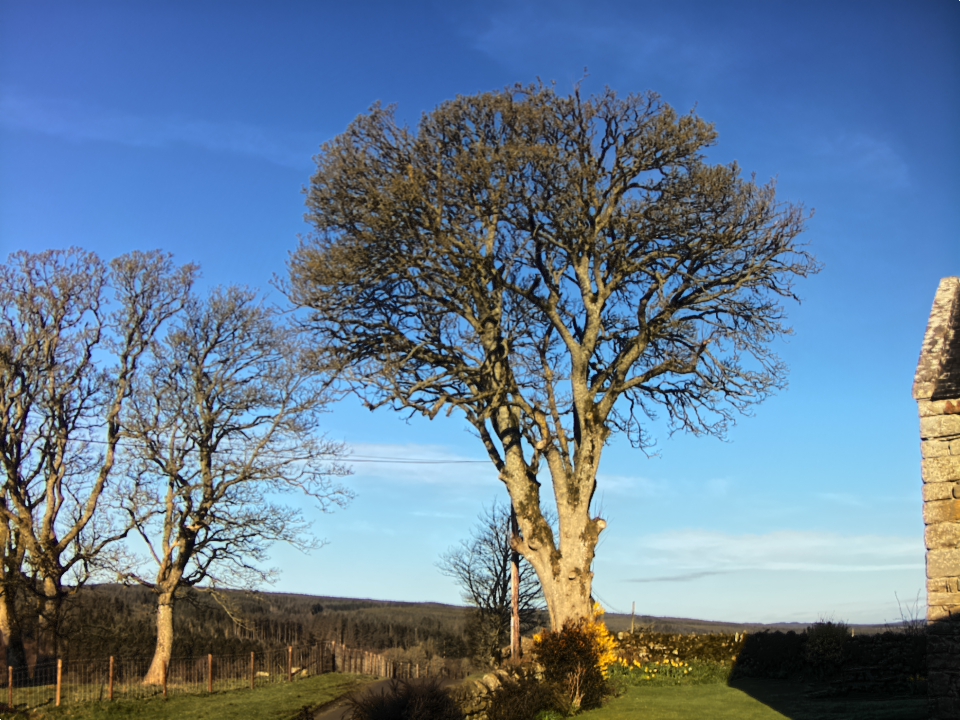 Webcam photo for 08 hrs today