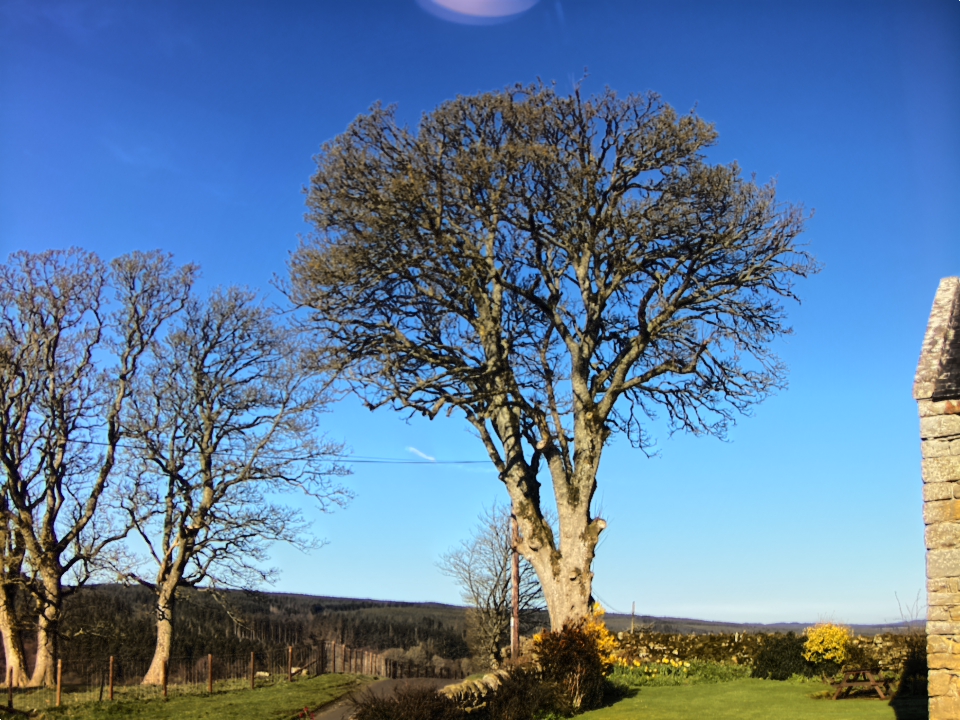 Webcam photo for 09 hrs today