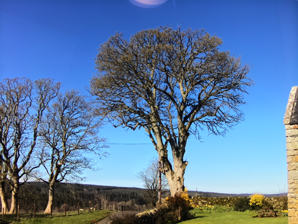 Webcam photo for 10 hrs today