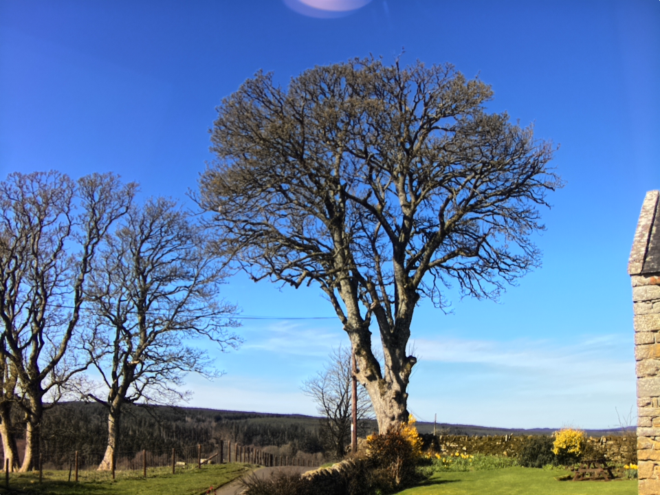 Webcam photo for 11 hrs today