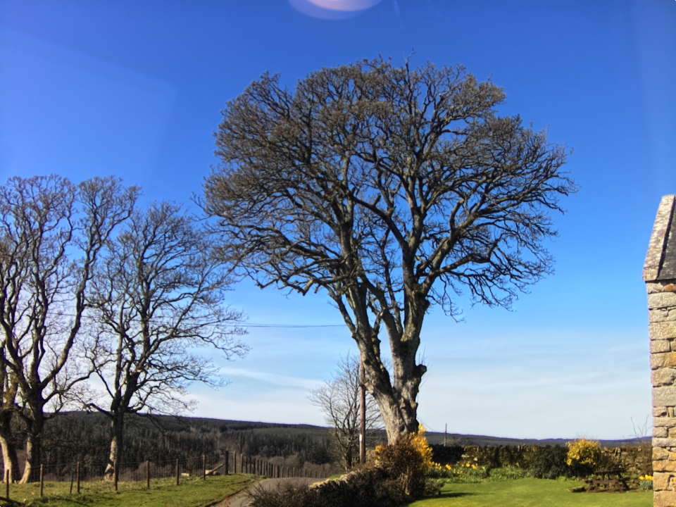 Webcam photo for 12 hrs today