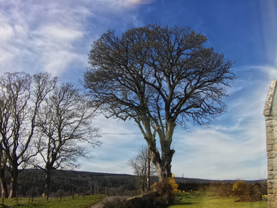 Webcam photo for 13 hrs today