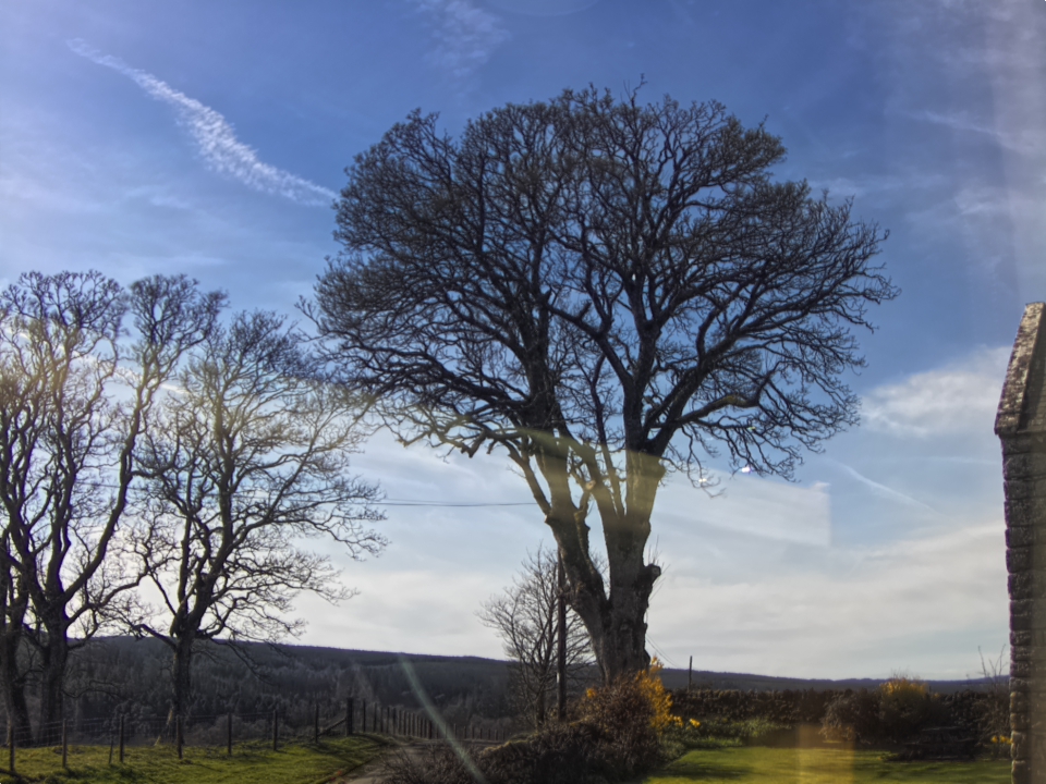 Webcam photo for 15 hrs today