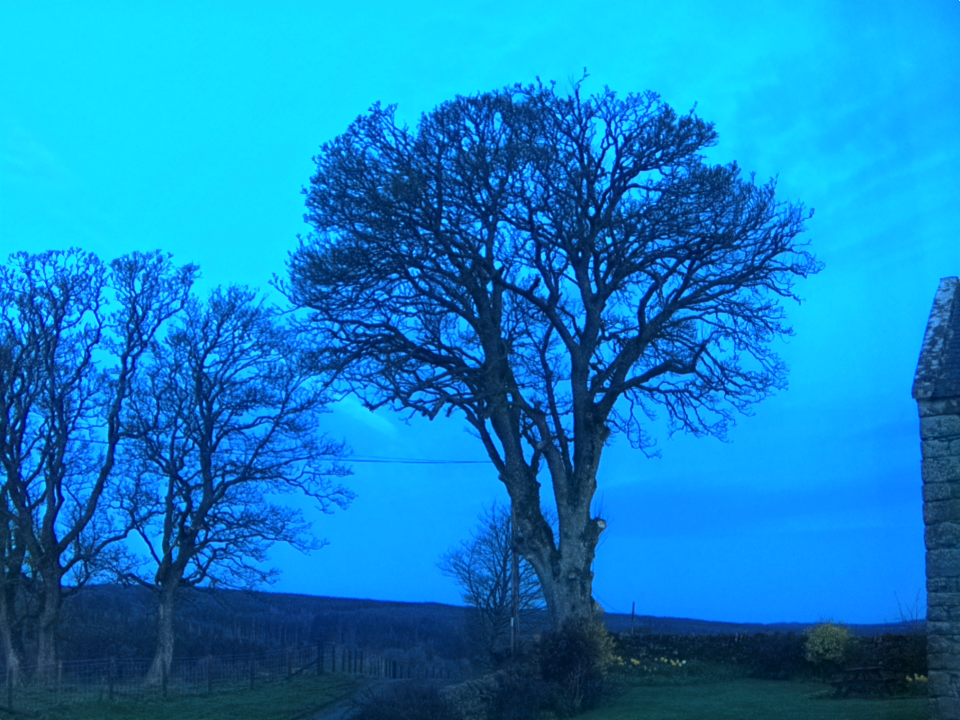 Webcam photo for 06 hrs today