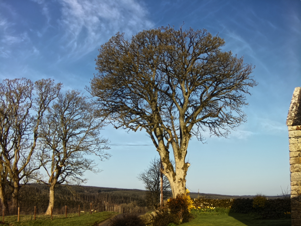 Webcam photo for 08 hrs today