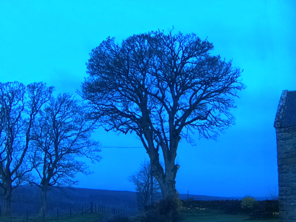 Webcam photo for 06 hrs today