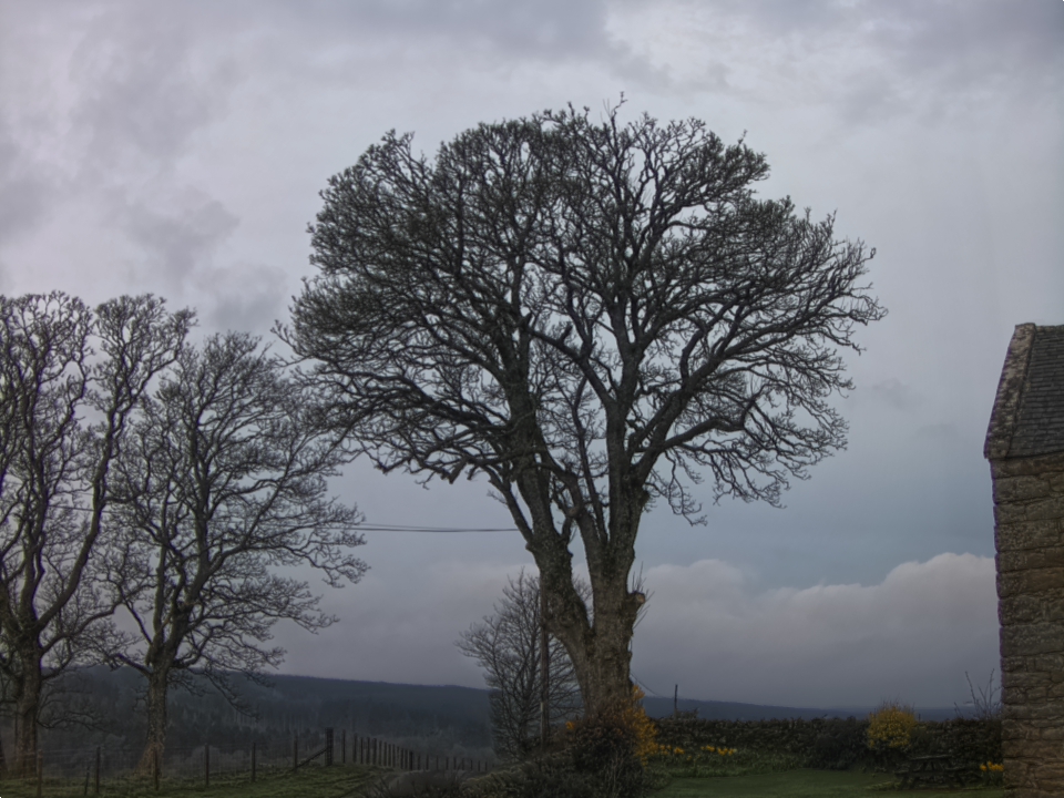 Webcam photo for 07 hrs today