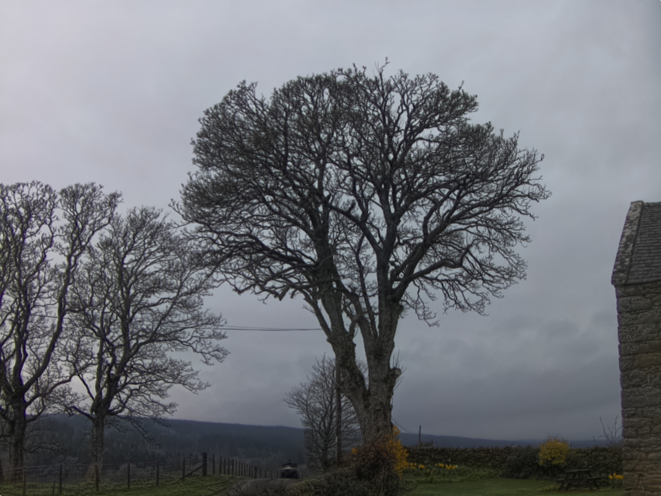 Webcam photo for 08 hrs today