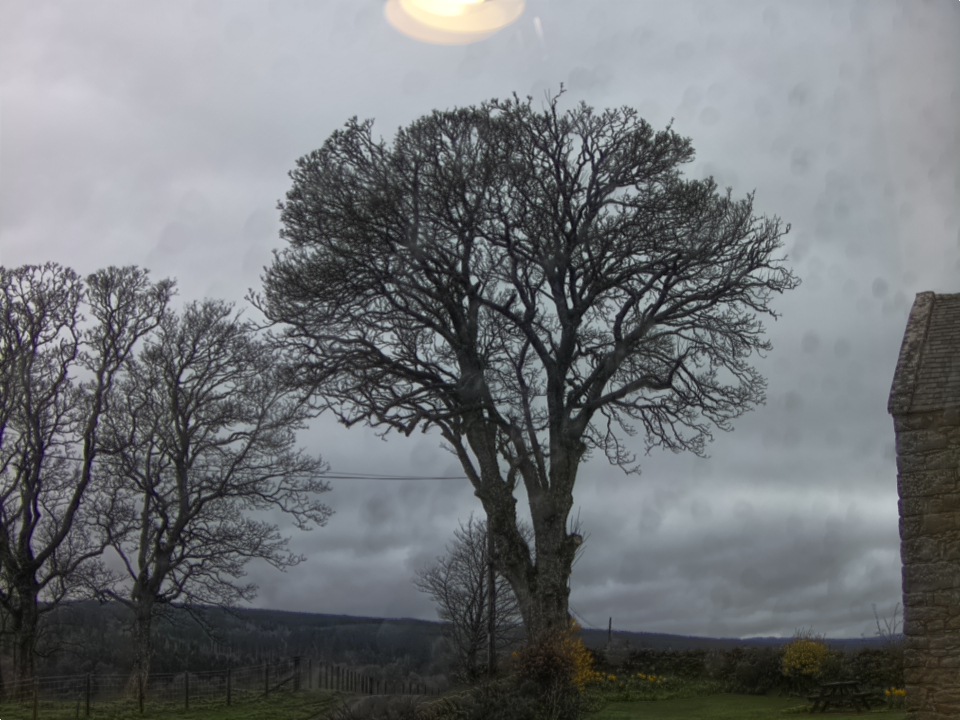 Webcam photo for 10 hrs today