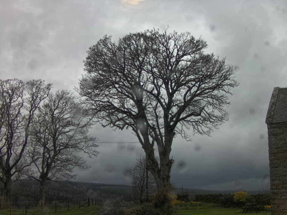 Webcam photo for 12 hrs today