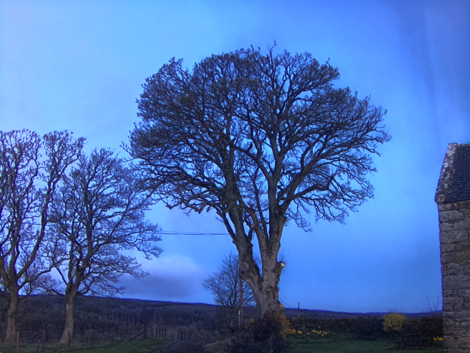 Webcam photo for 06 hrs today