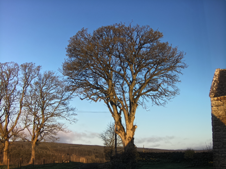 Webcam photo for 07 hrs today