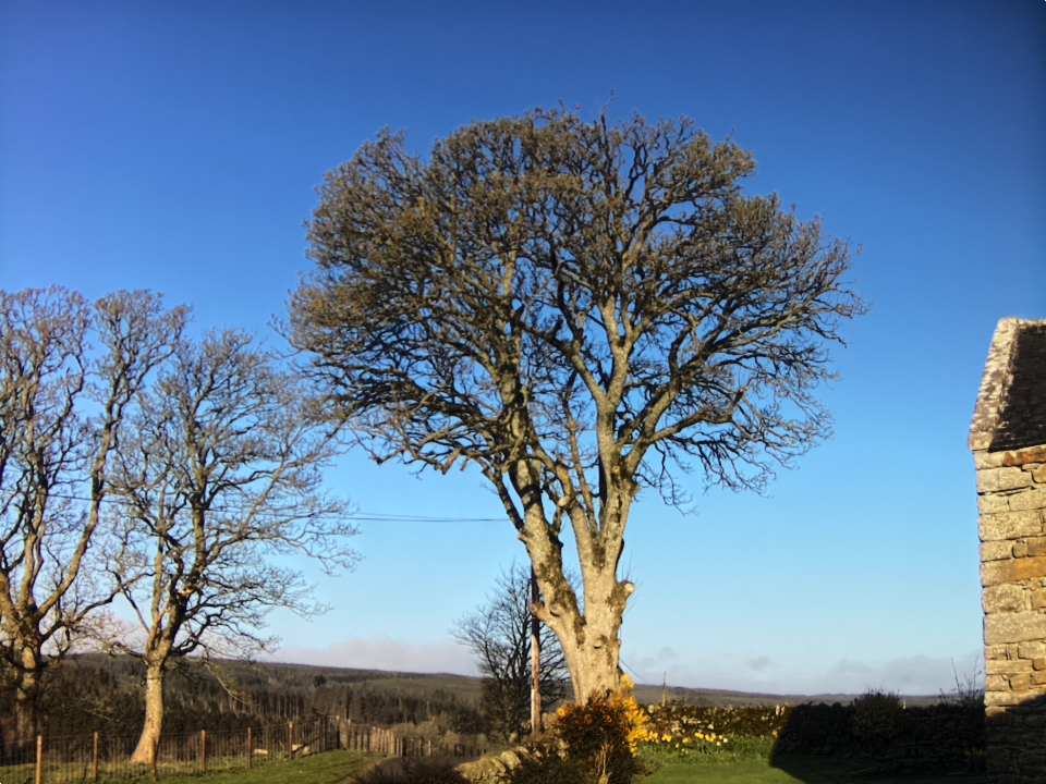 Webcam photo for 08 hrs today