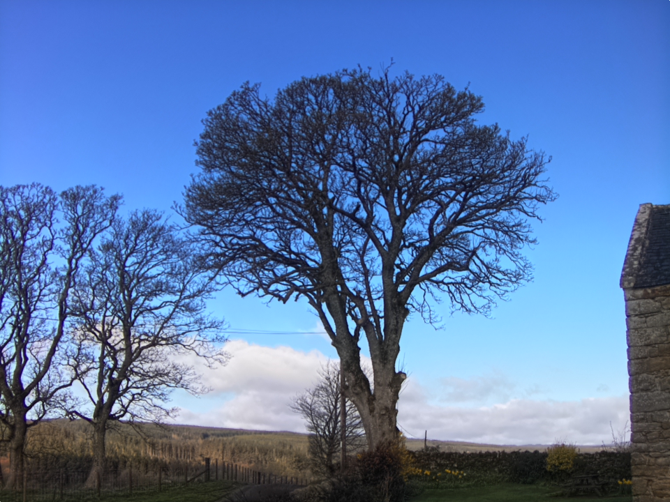 Webcam photo for 09 hrs today