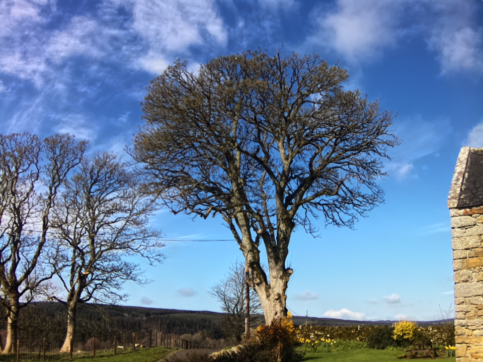 Webcam photo for 10 hrs today