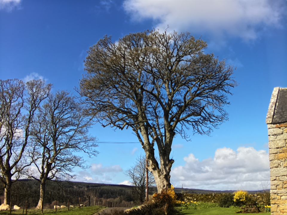 Webcam photo for 11 hrs today