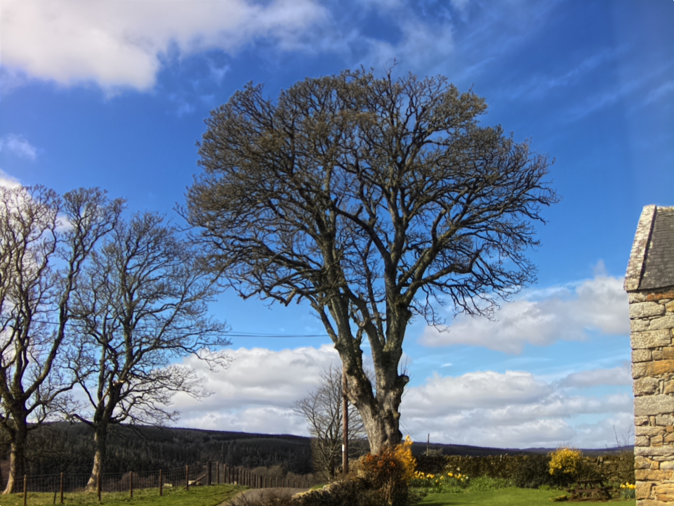 Webcam photo for 12 hrs today