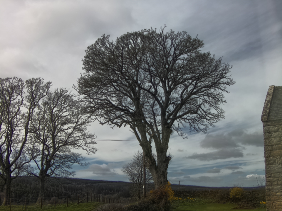 Webcam photo for 13 hrs today